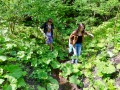 hostynsko_ciste_10